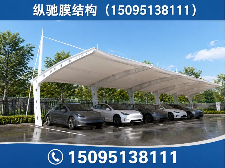 高密市膜结构停车棚展示图